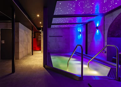 Pleasuredrome Sauna